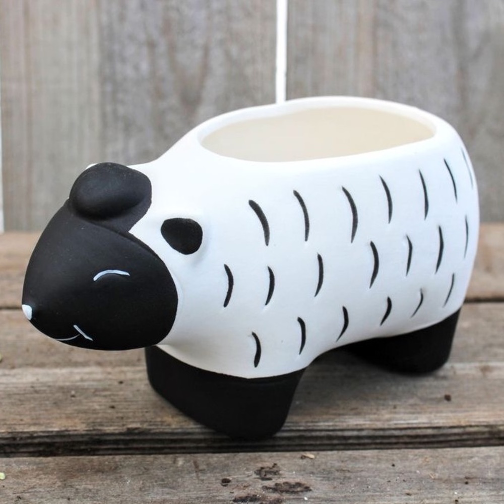 Black and White Sheep Plant Pot